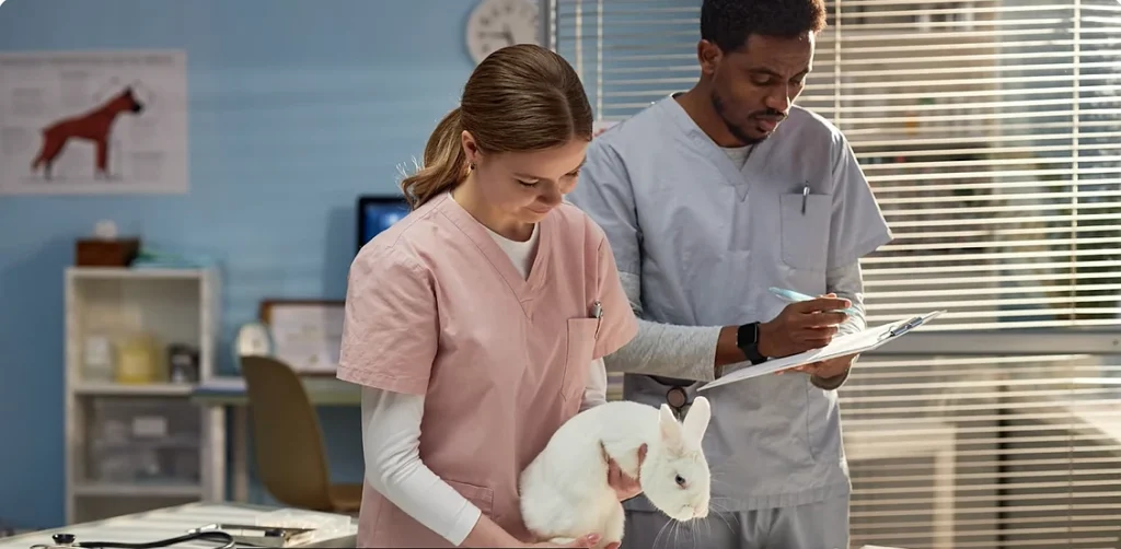 Disability Insurance for Large Animal Vets: Buy Before the Kick