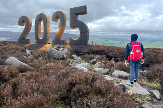 Must Achieve Personal Goals for the Year 2025