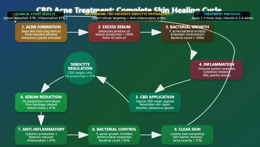 Can Help Treat Acne