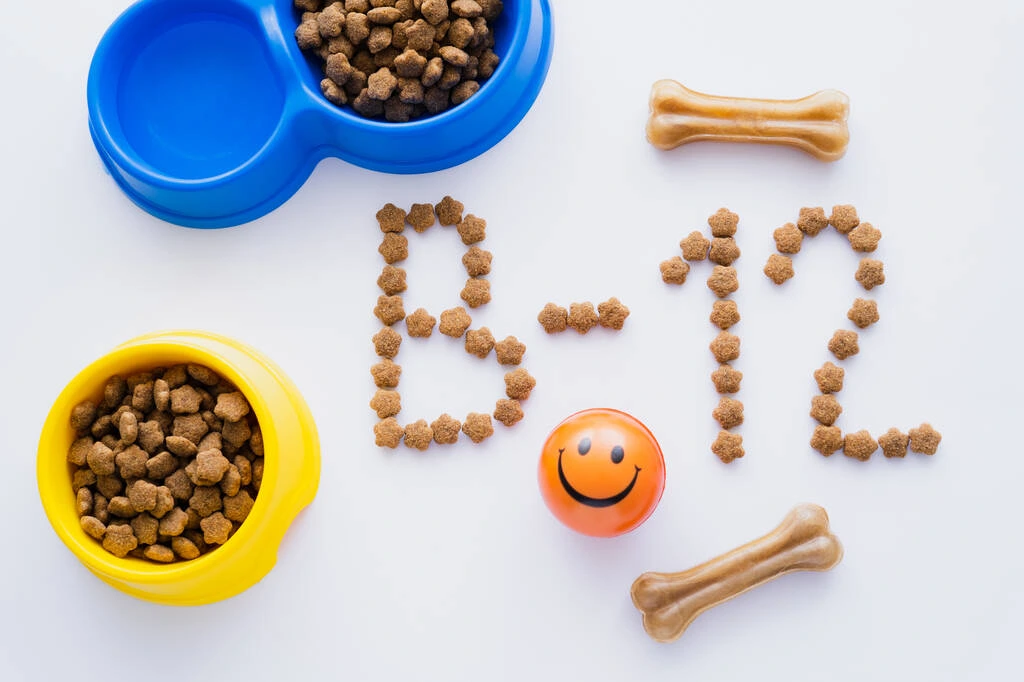 Vitamin B12 or Folate Deficiency Anaemia Overview