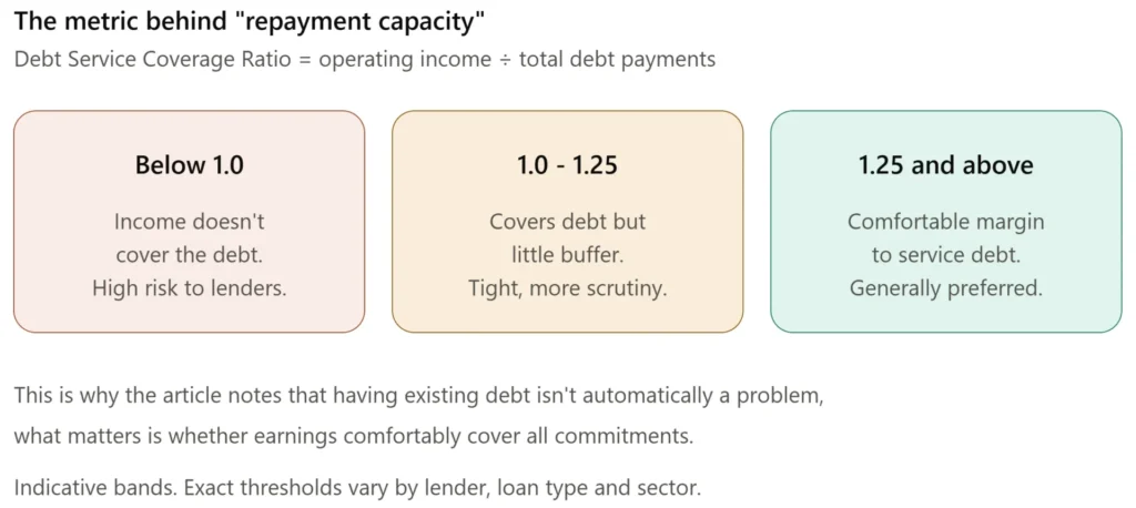 Repayment Capacity