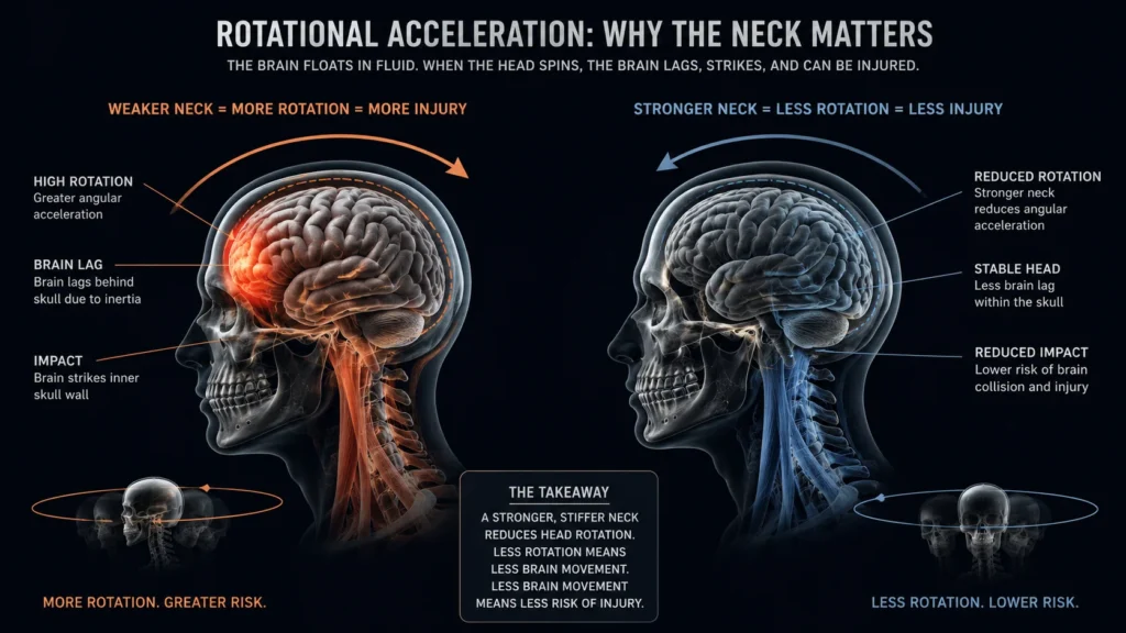 The Mechanism: a Stiffer Head-neck Unit Accelerates Less